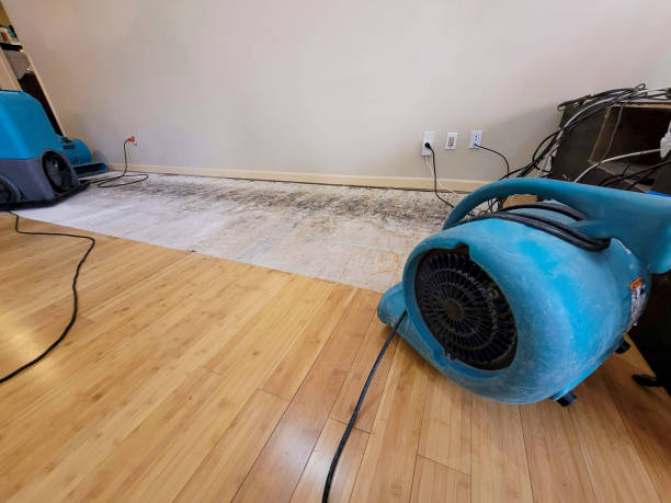 Professional Flood Damage Cleanup technician working in Lummi Island, WA